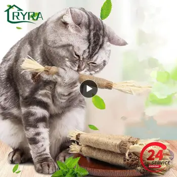 1~10PCS להסיר רובד כסף קש מקל טבעי לאפיט דשא חתול צעצוע Polygonum מקל צמח גולמי סיבים חתול ניקוי שיניים